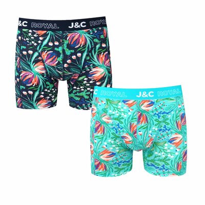 2-pack Heren Boxershorts H252 J&C katoen geprint